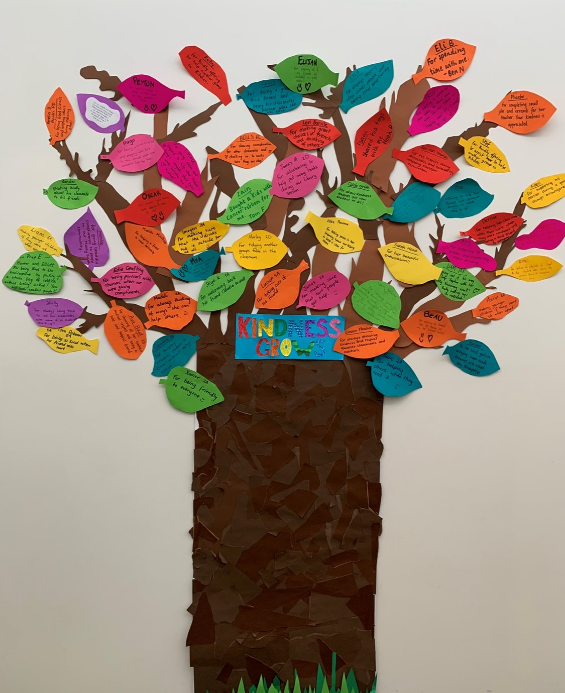 Victorian schools Mental Health Menu